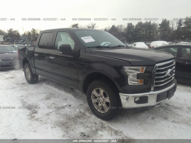 ford f-150 2015 1ftew1ep4ffc25320