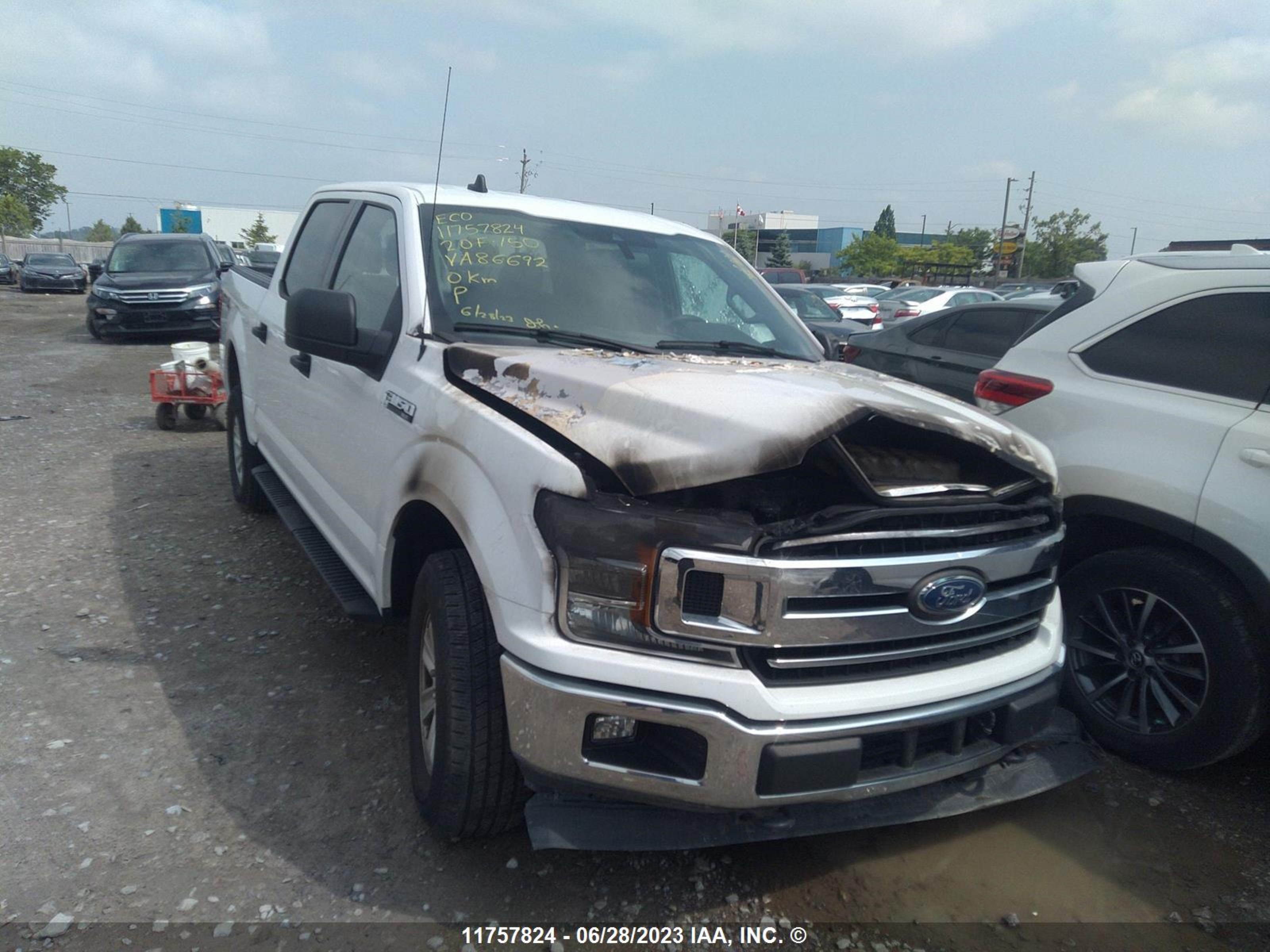 ford f-150 2020 1ftew1ep8lfa86692