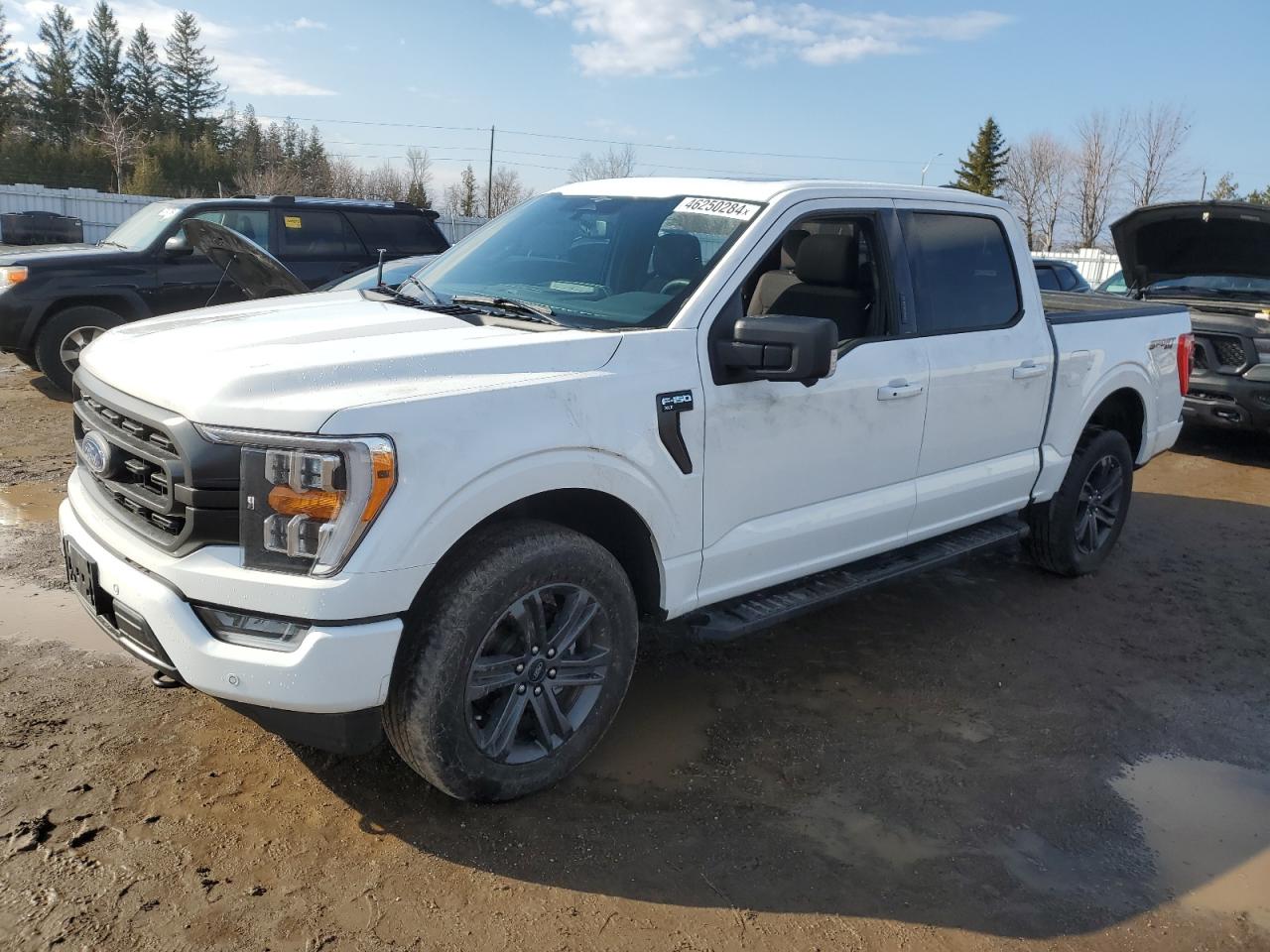 ford f-150 2023 1ftew1ep8pkd95124