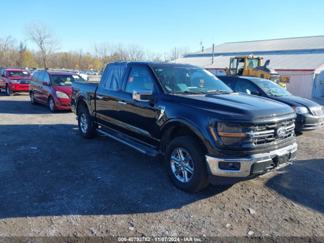 ford f-150 2024 1ftew3lp0rkd75290