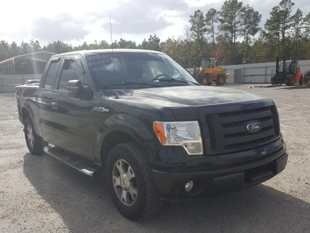 ford f150 2wd 2010 1ftex1cw4afa62507