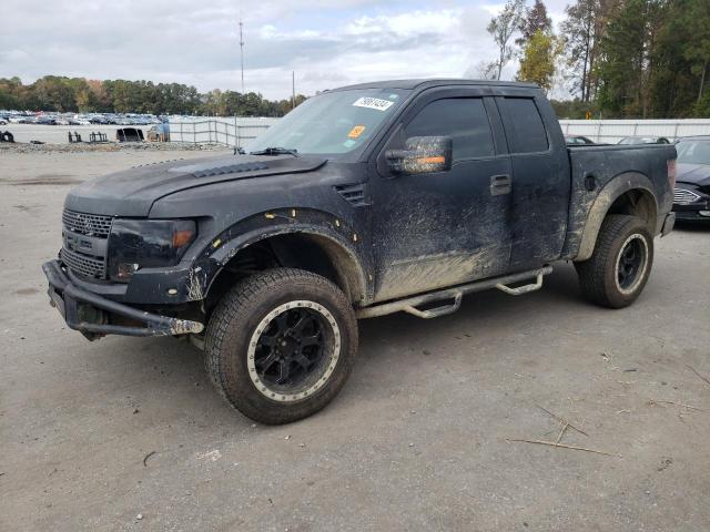 ford f150 super 2010 1ftex1e65afd23351