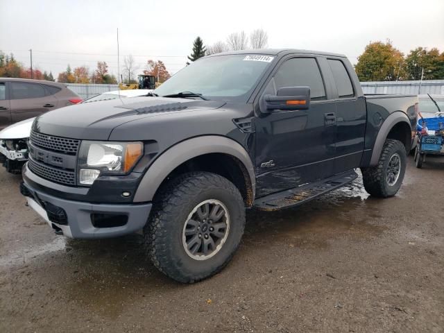 ford f150 super 2010 1ftex1e6xafd70696