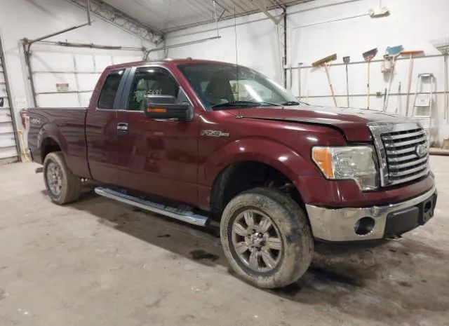 ford f150 2010 1ftex1e85afc83080