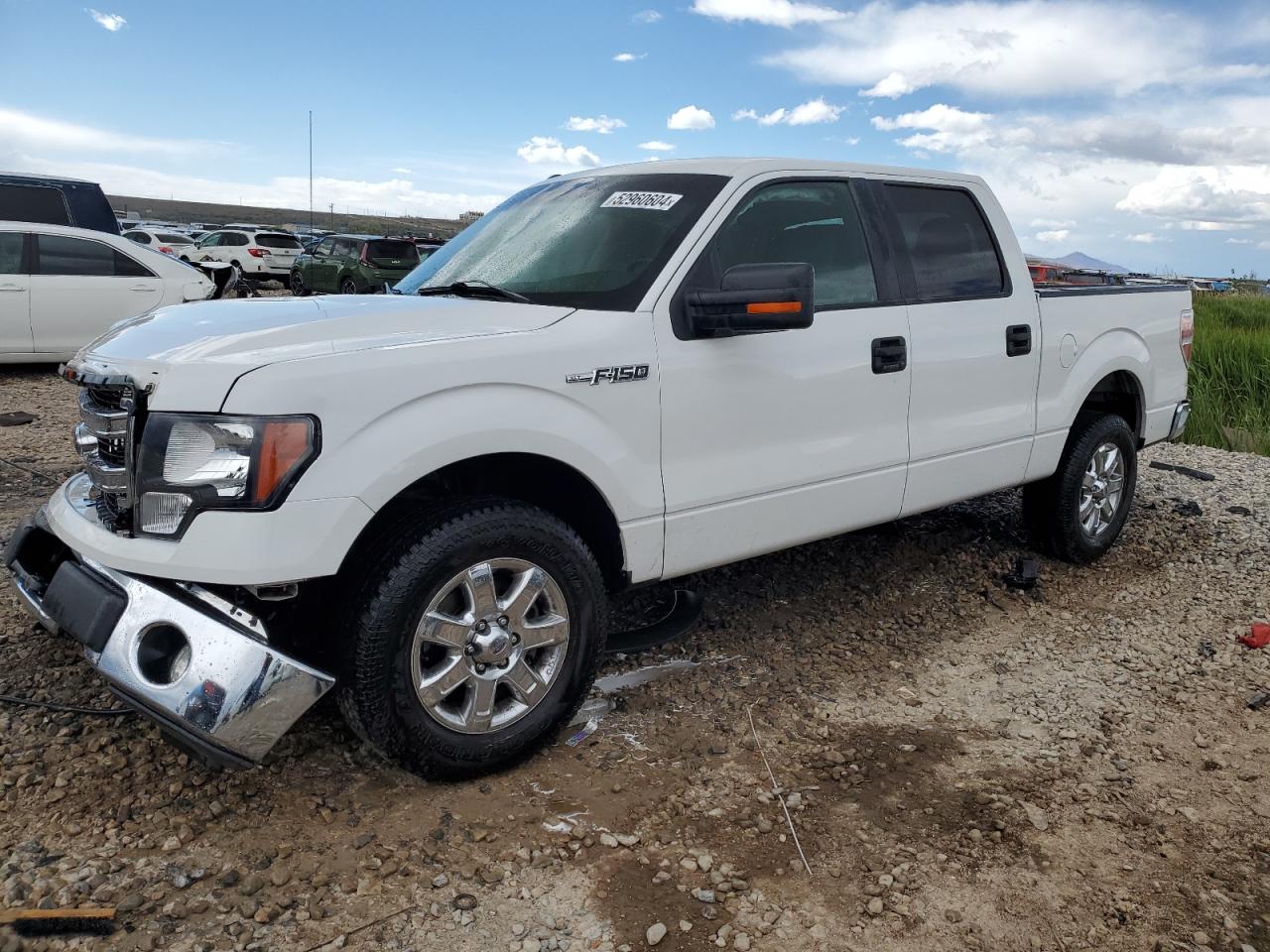 ford f-150 2013 1ftfw1cf2dfe06962