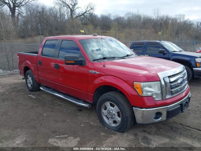 ford f-150 2012 1ftfw1cf5cfb84223