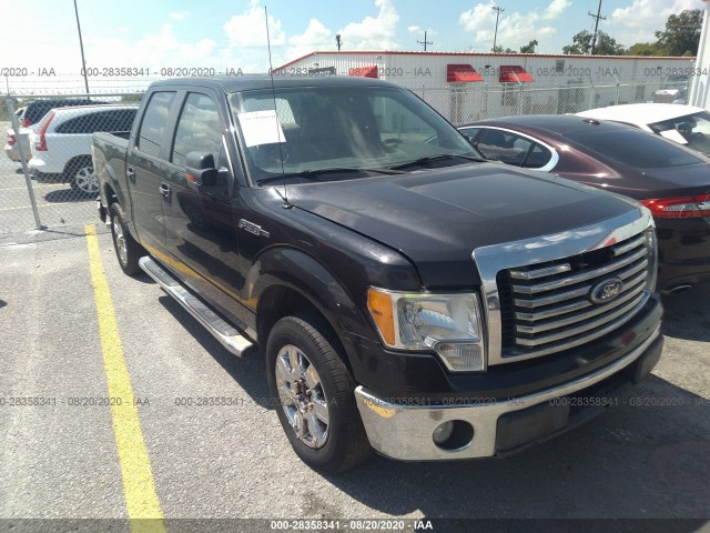 ford f-150 2010 1ftfw1cv1afd73892