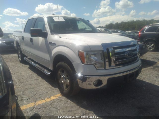 ford f-150 2010 1ftfw1cv2afd83556