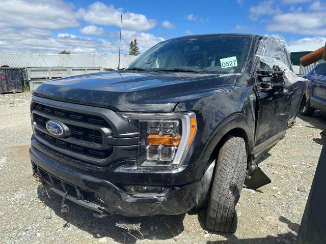 ford f-150 2023 1ftfw1ed2pfc73815