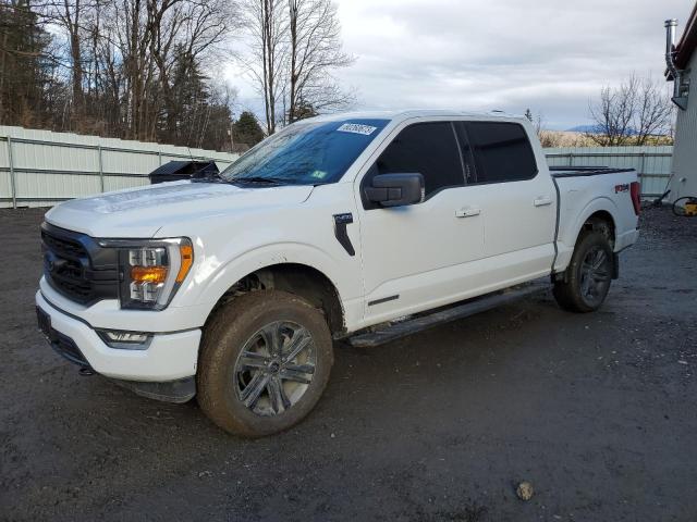 ford f-150 2023 1ftfw1ed8pfa14830