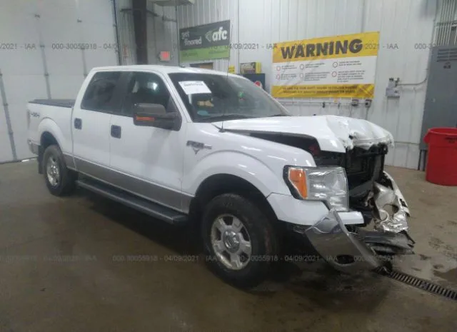 ford f-150 2011 1ftfw1ef0bfa46343