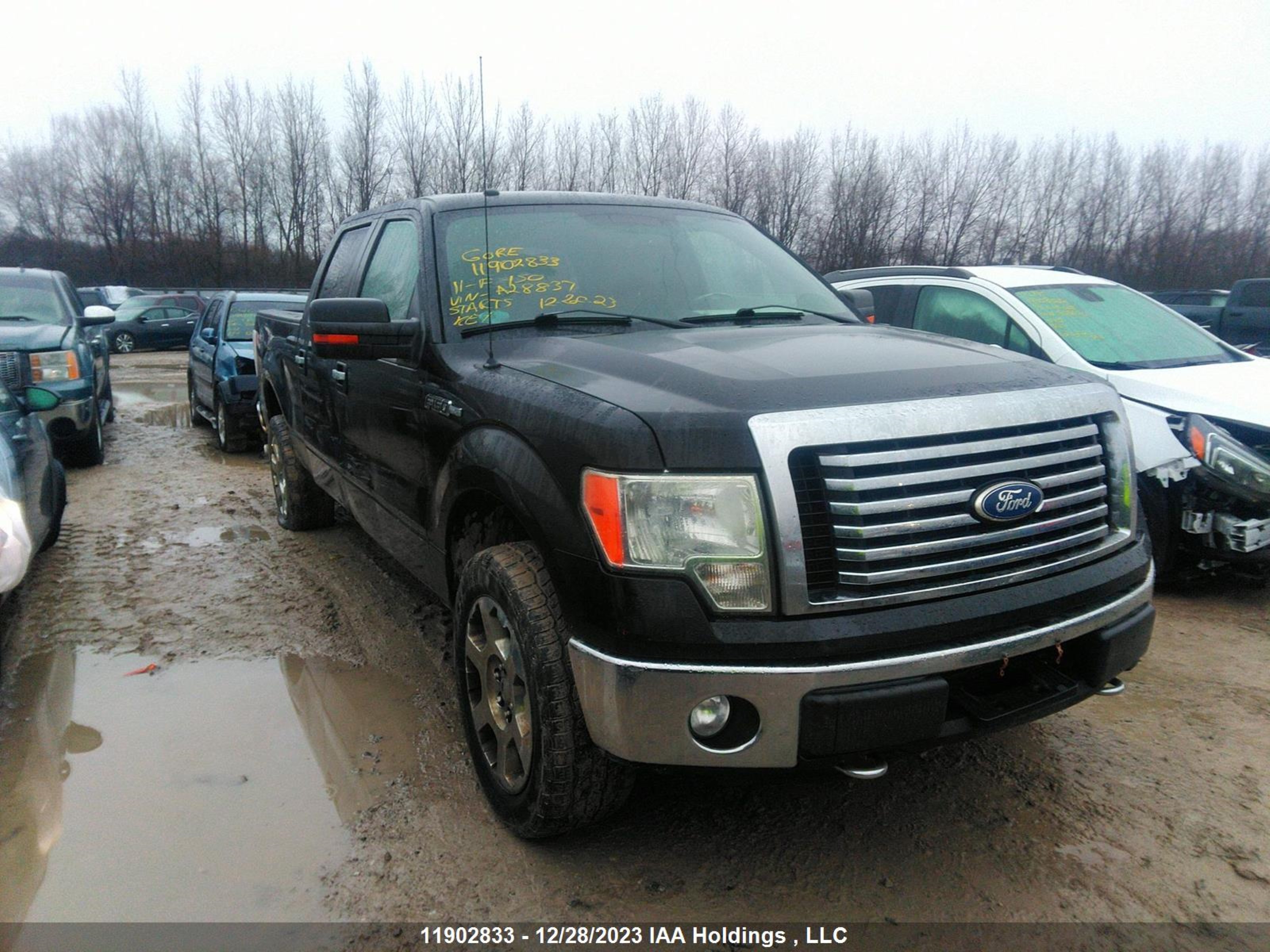 ford f-150 2011 1ftfw1ef1bfa28837