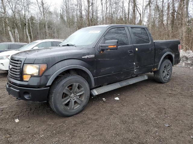 ford f-150 2012 1ftfw1ef1cfb17213