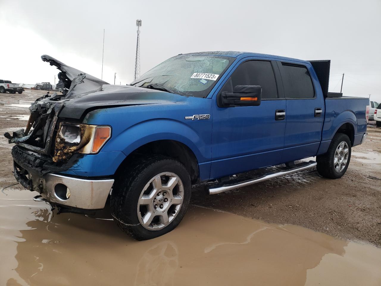 ford f-150 2013 1ftfw1ef1dkd74946