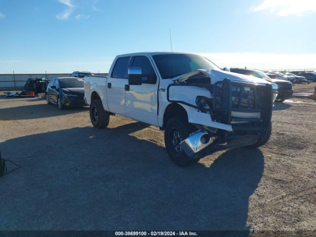 ford f-150 2013 1ftfw1ef1dkf16132