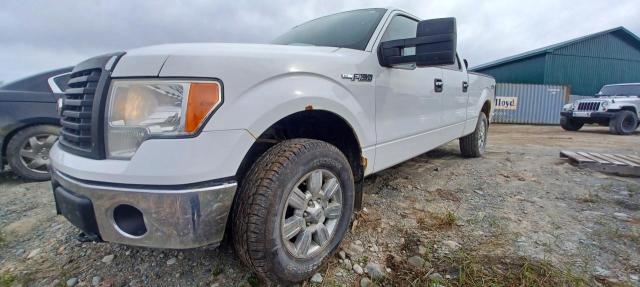 ford f-150 2011 1ftfw1ef2bfc97266