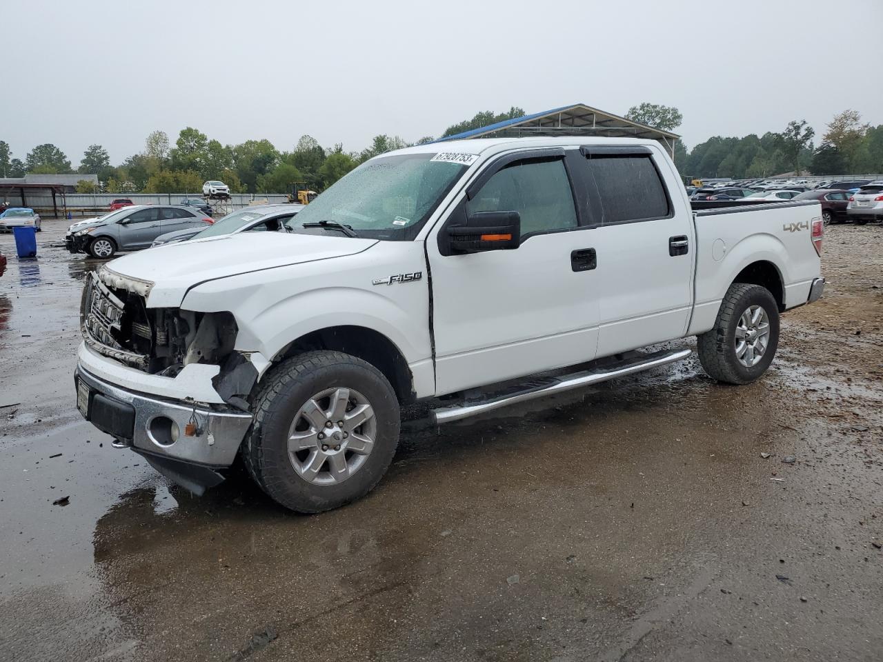 ford f-150 2014 1ftfw1ef2efb67119