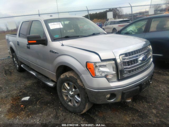 ford f-150 2013 1ftfw1ef3dfb77401