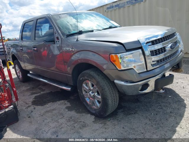 ford f-150 2013 1ftfw1ef3dfc62660