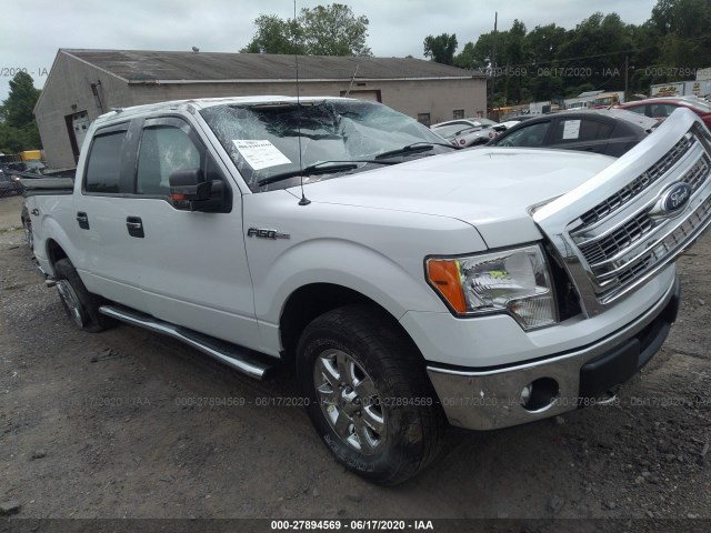 ford f-150 2013 1ftfw1ef3dfd95306