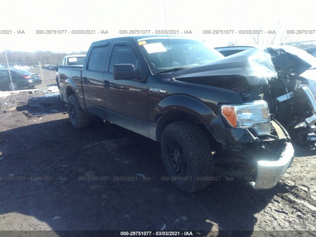 ford f-150 2014 1ftfw1ef3efc16506