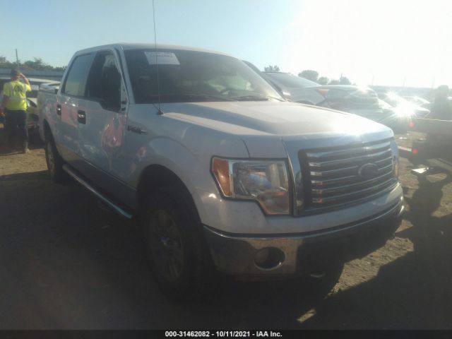 ford f-150 2011 1ftfw1ef4bfb38829