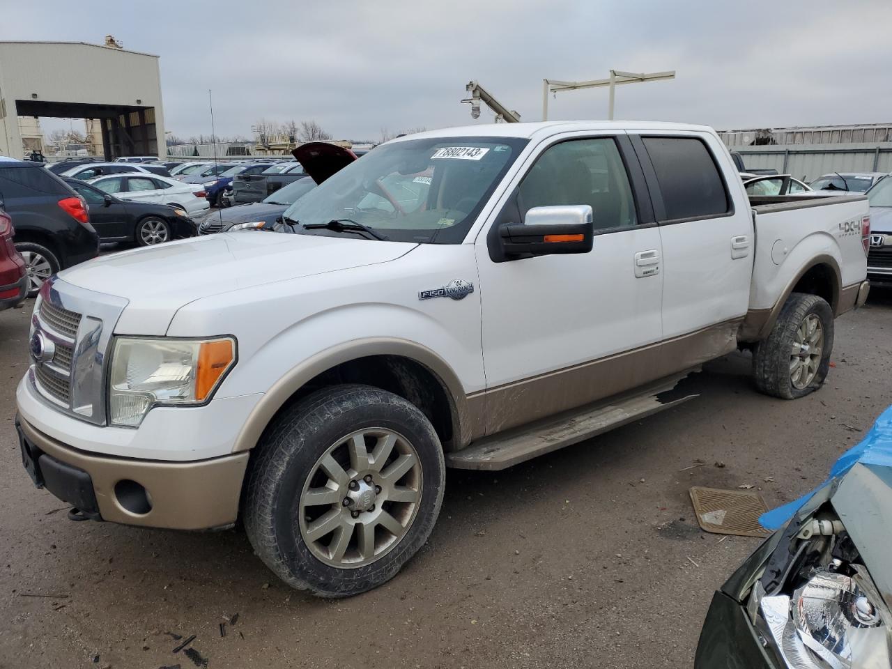 ford f-150 2011 1ftfw1ef4bkd75845