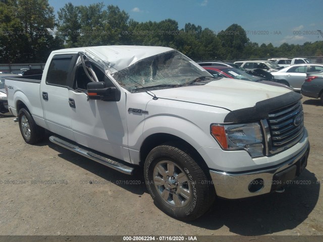 ford f-150 2012 1ftfw1ef4cfb74750