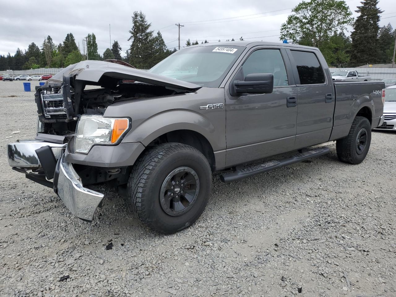 ford f-150 2013 1ftfw1ef4dfc30333