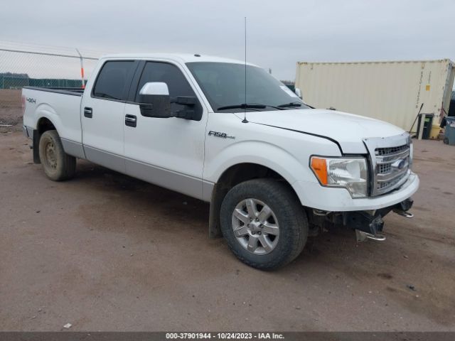 ford f-150 2013 1ftfw1ef4dkf78849