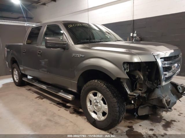 ford f-150 2013 1ftfw1ef4dkf80729