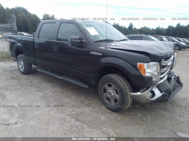 ford f-150 2014 1ftfw1ef4efb21193