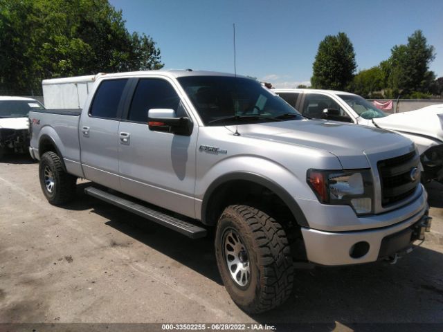 ford f-150 2014 1ftfw1ef4efc02954