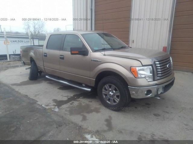 ford f-150 2011 1ftfw1ef5bfa43227