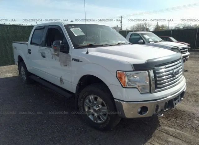 ford f-150 2011 1ftfw1ef5bfa96381