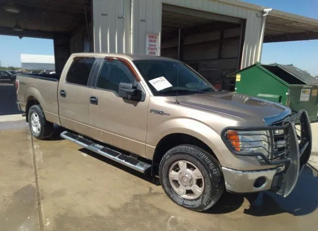 ford f-150 2013 1ftfw1ef5dfa78174