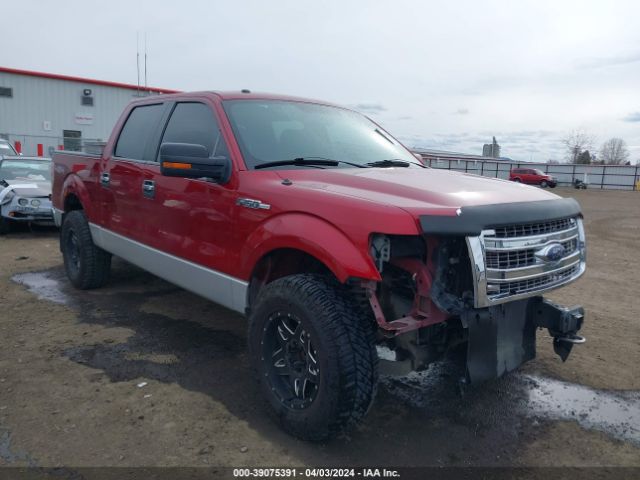 ford f-150 2013 1ftfw1ef6dke57093