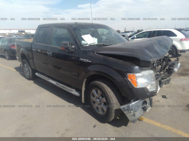 ford f-150 2013 1ftfw1ef6dkg36556