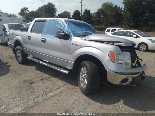 ford f-150 2014 1ftfw1ef6efd06362