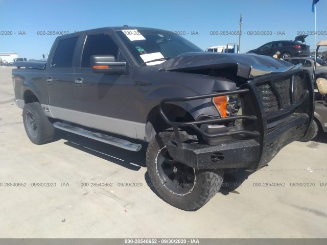 ford f-150 2011 1ftfw1ef7bkd91442