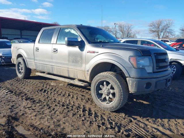 ford f-150 2013 1ftfw1ef7dfb12602