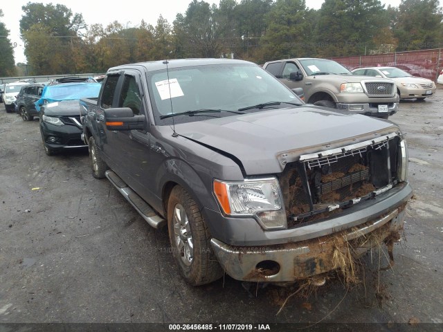 ford f-150 2013 1ftfw1ef7dkg25601