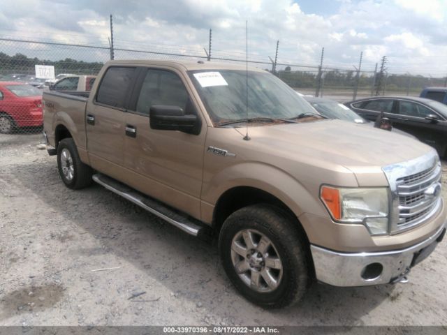 ford f-150 2014 1ftfw1ef7efa63287