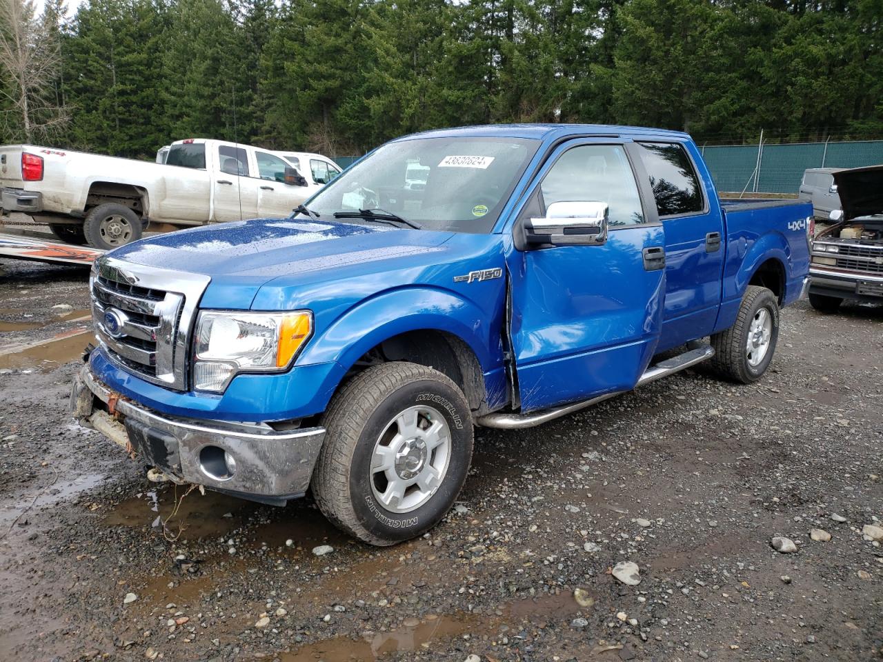 ford f-150 2012 1ftfw1ef8ckd06416