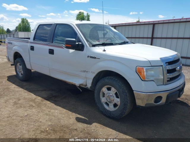 ford f-150 2013 1ftfw1ef8dfc44249