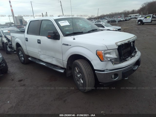 ford f-150 2013 1ftfw1ef8dkf51105