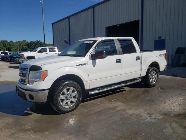 ford f-150 2013 1ftfw1ef8dkg16289