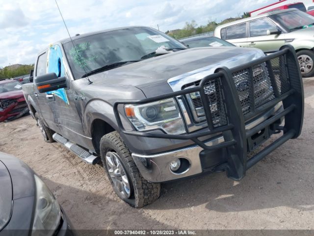 ford f-150 2014 1ftfw1ef8efa12154