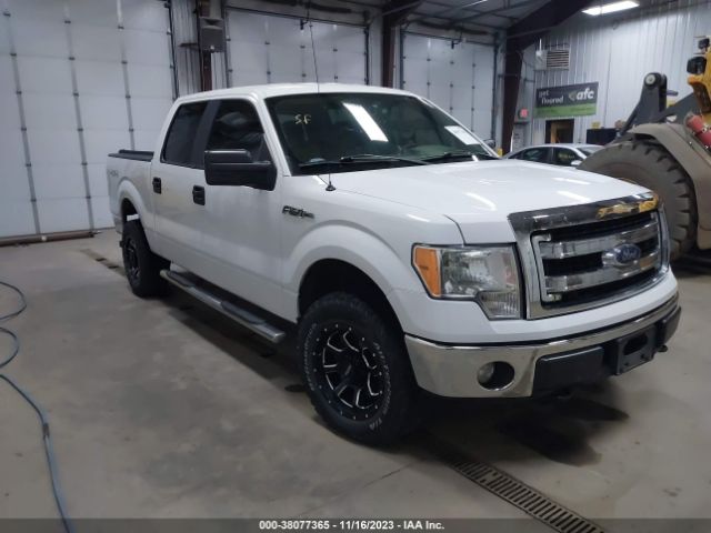 ford f-150 2014 1ftfw1ef8eke57503