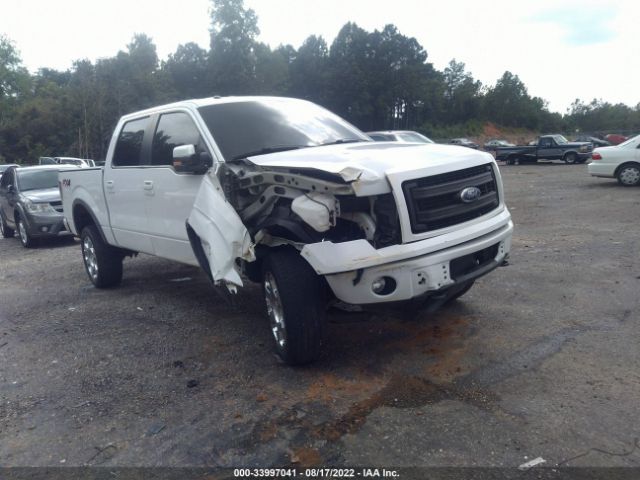 ford f-150 2014 1ftfw1ef8ekf14833